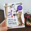 천사장묘 - 서산시 관아문길 34 | 다이소 고양이 자동 장난감 후기