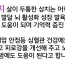 태흥수산 티스토리