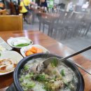 [ 속초 ] 속초관광시장 순대국집 "88순대국" 내돈내산 아바이순대국 솔직후기 다른곳과 비교 주차