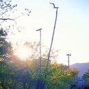 충남 / 공주/ [르포라이터 민병준의 향토기행] 공주