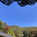 보덕어린이집 이미지