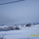 구름열매 이미지