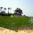 화수리농장 이미지