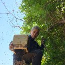 영동양봉영농조합 이미지