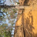 부주동 근린공원 이미지