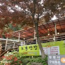 234산장가든 | 강원도 청평사 맛집 오봉산장 후기｜경치 좋은 곳에서 먹는 산채비빔밥과 막국수