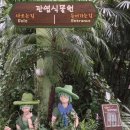 후기) 가족 나들이에 제격인 ‘어린이대공원’ 2부 / 어린이 대공원 식물원, 전래동화마을 소개