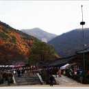 표충사 이미지