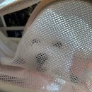 강문아구찜 이미지