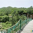 성주봉자연휴양림 이미지