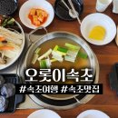 수제정만두 | 속초맛집, 오롯이속초 수제만두전골 솔직후기