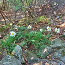 천마산역 이미지