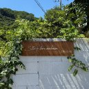 스테이.여름밤 | [공주] 애견동반 가능한 동화 같은 독채 감성숙소 : 스테이보늬밤 내돈내산 후기