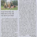 문화칠기