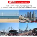 부산관광공사 부산시티투어 | 여행특공대 티켓 할인받고 부산시티투어버스로 커플 여행 하고 온 후기💙 알찬 부산 데이트 코스 추천!