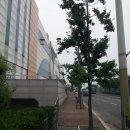 지하철체육공원역 이미지