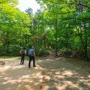 새재넘어 소조령길 마당바우구간 이미지