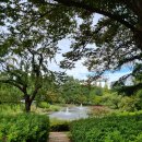 공주대학교공과대학학생생활관구내식당 | [포항아이랑] 지곡회관 연못 산책, 버거킹