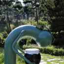 약초와 한방 이미지