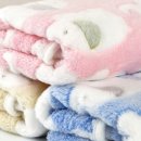 코코앤그레이 이미지