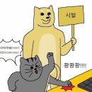 토토아재때매 1000원메꿈....ㅠㅠ 이미지