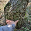 해송농장 이미지