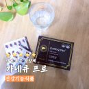밀크시슬 효능 간에 좋은 영양제 가네큐 프로 섭취 후기