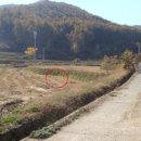 덕산면001 Daum카페
