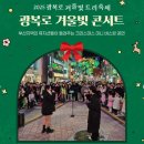광복로겨울빛트리축제 티스토리