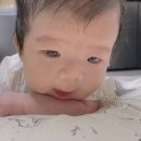 찬유통 이미지