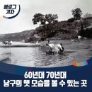 남구-70 이미지