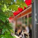 송원물회 | 해운대맛집 - 송원물회 내돈내산 솔직후기