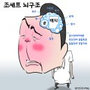 굥 20대 지지율 이미지