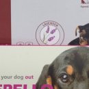 신세계약국 이미지