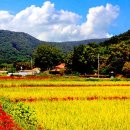 용천사입구 이미지