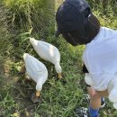 평대로움 이미지