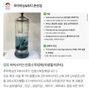 더 오케이 병원 | 춘천 퇴계동 왁싱 루미왁싱에서 브라질리언왁싱 받은 솔직후기