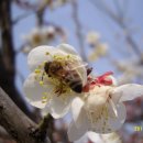 김해건설공업고등학교 이미지