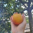 텃밭동천점 | ‘사부작사부작’ 쉬는 법｜콘츄리클래스 2기 IN 청도