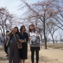 미즈마켓