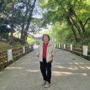 요곡 네이버블로그