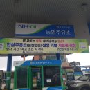 서귀포농협주유소 일간제주