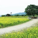 구리목1 이미지