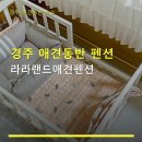 경주 애견동반 펜션 라라랜드애견펜션 이용 방법과 주차 정보 안내