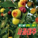 황실사과