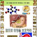 기가솔건강방 이미지
