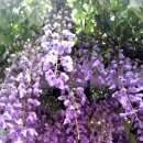 강진중앙초등학교 이미지