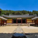 충렬서원선생안 | 경주 :: 이팝나무 꽃 흐드러진 계절, 유네스코 세계유산 옥산서원에서 만난 푸르른 풍경