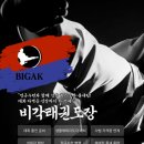 고려 태극태권도장 이미지