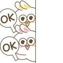 꼬치데이 정읍소명점 이미지